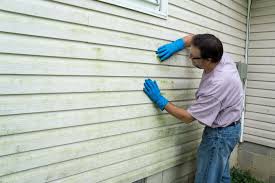 Best Siding Painting and Refinishing  in Hinton, OK